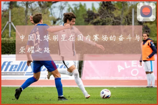 中国足球明星在国内赛场的奋斗与荣耀之路