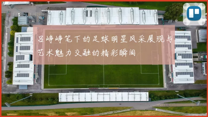 吕峥峥笔下的足球明星风采展现与艺术魅力交融的精彩瞬间