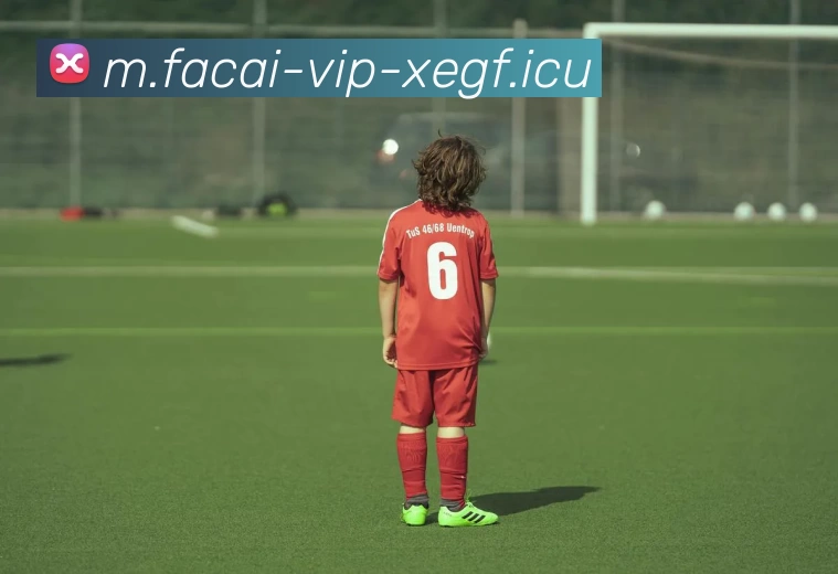 开云体育平台生态图