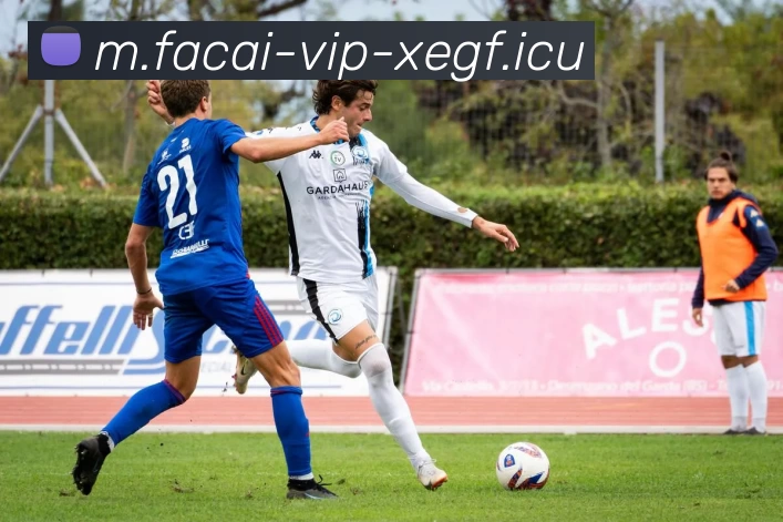 开云体育全站App